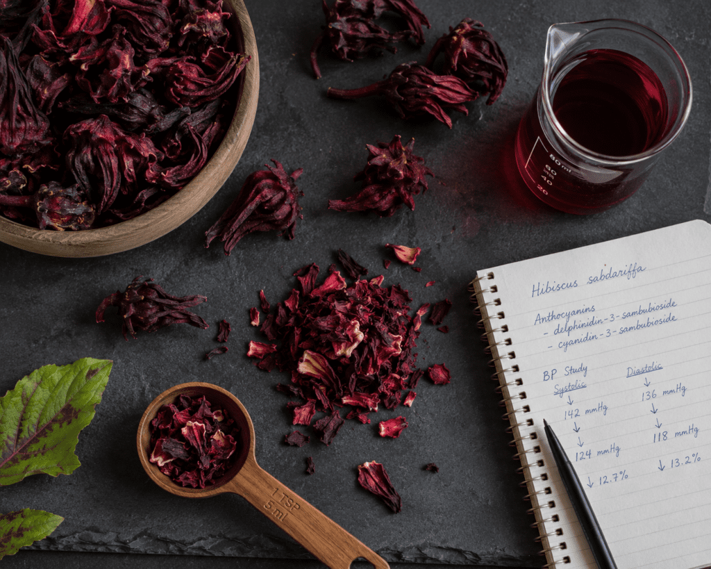 Dried hibiscus calyxes and botanical ingredients showing blood pressure compounds
